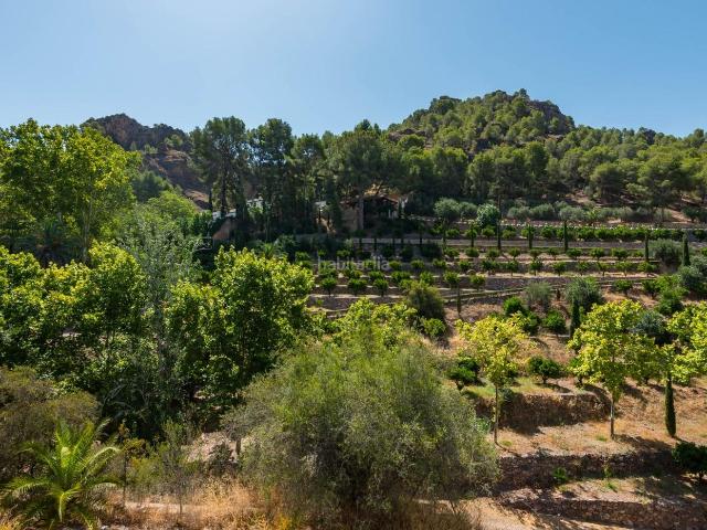 Chalet en venta en Murcia, Algezares. Chalets.