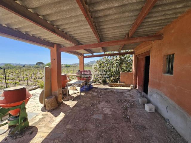 Chalet en venta en Novelda. Chalet en Novelda con parcela de 9.500 m2 muy bien situado. Chalets.