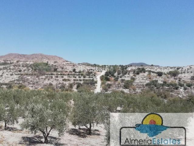 Chalet en venta en Somontín. SomontínVilla. Chalets.