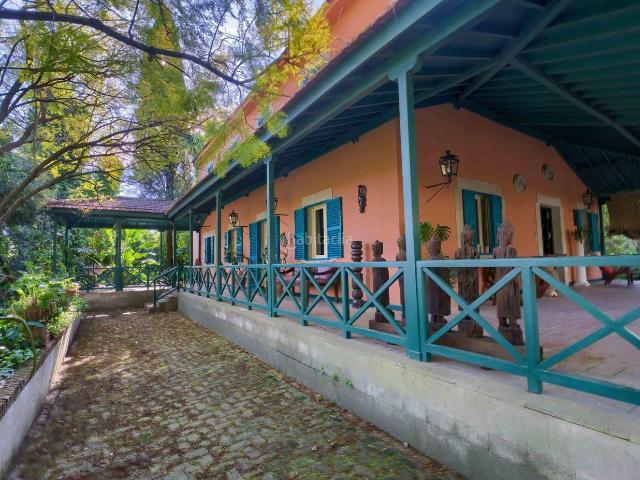 Chalet en venta en Sanlúcar la Mayor. REFUGIO DONDE LA NATURALEZA, ESTILO Y BUEN VIVIR SE DAN LA MANO. EN SANLÚCAR LA MAYOR 2 VIVIENDAS 13.200 m2 ALTA RENTABILIDAD. Chalets Sanlúcar la.