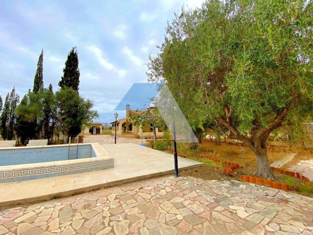 Chalet en venta en Sant Vicent del Raspeig, Los Girasoles. Increíble chalet en parcela de 11.000 m2, con posibilidad de segregar una parcela urbana. Chalets Sant Vicent del.