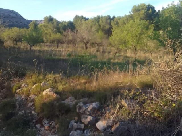 Chalet en venta en Sant Mateu, Sant Mateu