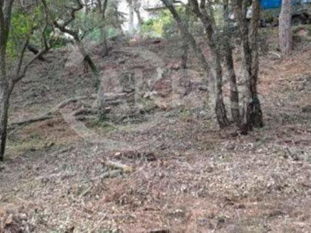 Chalet en venta en Santa Cristina d'Aro