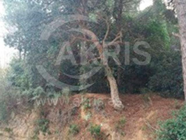Chalet en venta en Santa Cristina d'Aro