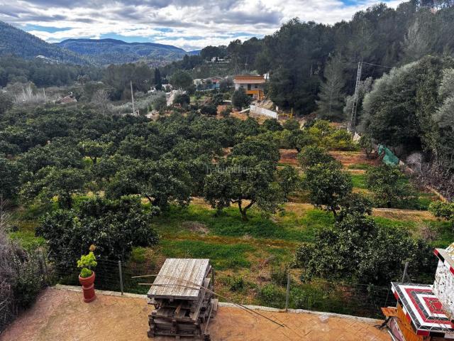 Chalet en venta en Simat de la Valldigna. CHALET Y TERRENO EN PLA DEL CORRAL. Chalets Simat de la.