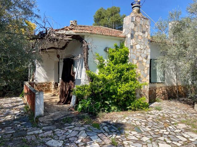 Chalet en venta en Piedrabuena. Chalets.