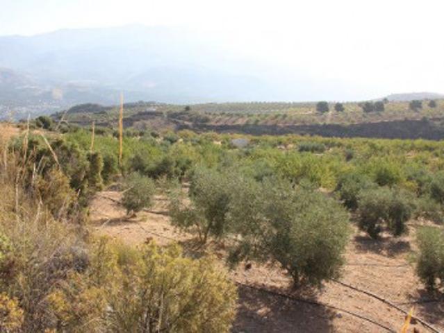 Chalet en venta en Piñar, Restabal