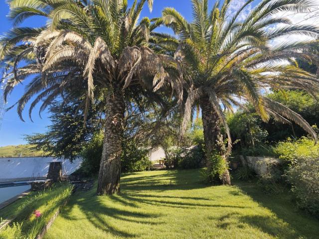 Chalet en venta en Plasencia, Zona Norte Hospital Urbanizaciones. Exclusiva finca rústica con vivienda histórica y 12 hectáreas de naturaleza a un minuto de Plasencia. Chalets.