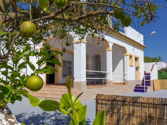Chalet en venta en Puebla del Río La. Finca Rústica en paraje Puñanilla de La Puebla del Río. Chalets Puebla del Río.