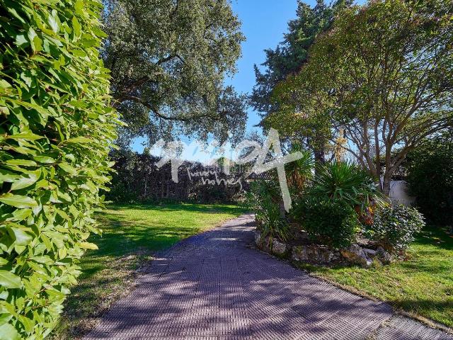 Chalet en venta en Rozas de Madrid Las, La Chopera. Chalet independiente en parcela de 1.137 m2 con piscina y gran potencial. Chalets Rozas de Madrid.