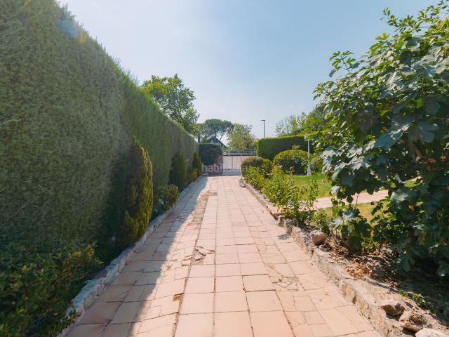 Chalet en venta en Rozas de Madrid Las, Monte Rozas. Casa chalet independiente en venta en Monte Rozas. Chalets Rozas de Madrid.