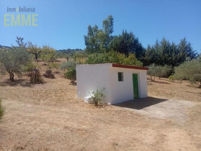 Chalet en venta en Ronda