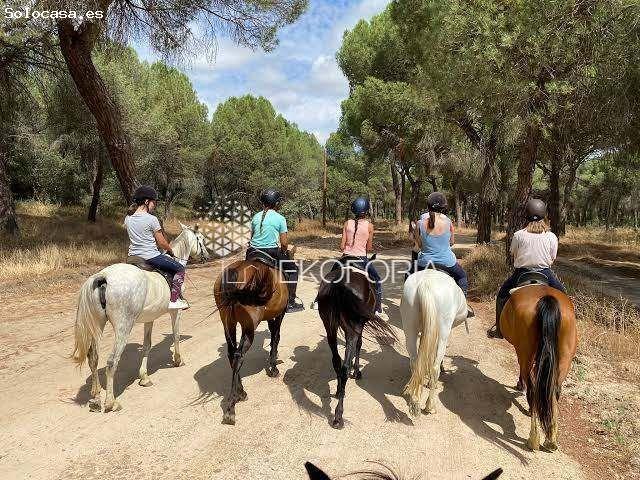 Chalet en Venta en Ribarroja, Valencia
