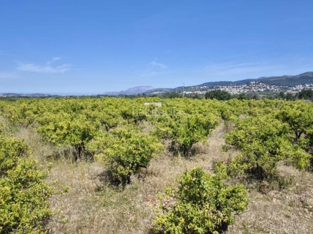 Chalet en venta en Tormos. Chalets.