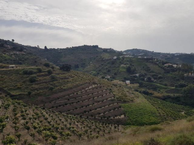 Chalet en venta en Torrox, Pueblo