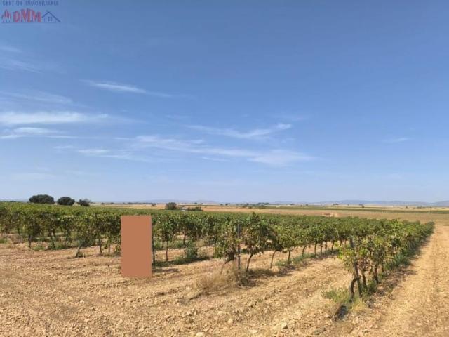 Chalet en venta en Torralba de Calatrava, Torralba De Calatrava