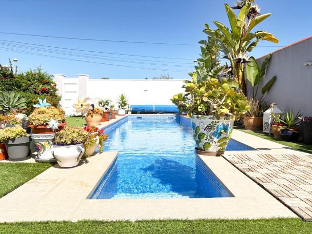 Chalet en venta en Torrevieja, Zona Carrefour Urbanizaciones. Chalet independiente completamente reformado con piscina privada y jardín tropical en Torreta Florida, Torrevieja. Chalets.