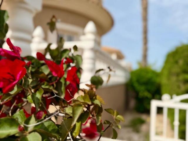 Chalet en venta en Torrevieja, Los Balcones Los Altos del Edén