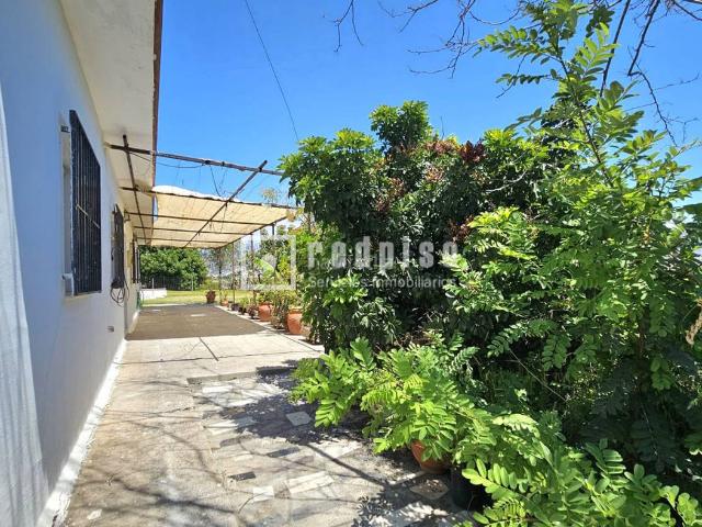 Chalet en venta en Torre del Mar, Viña Málaga. FINCA DE 4.045 M CON VIVIENDA, PISCINA Y CULTIVO DE MANGOS EN VÉLEZMÁLAGA. Chalets Torre del.