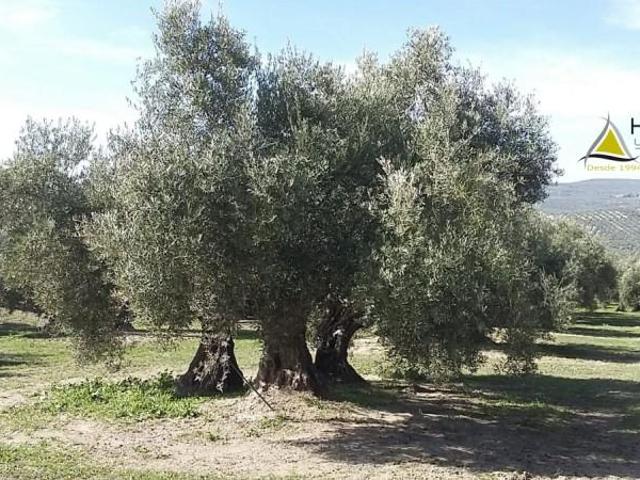 Chalet en venta en Torreperogil, Torreperogil