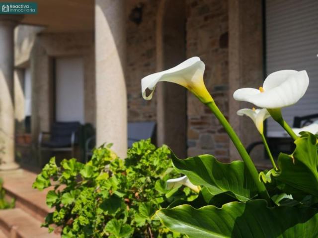 Chalet en venta en Teo, San sandurnino