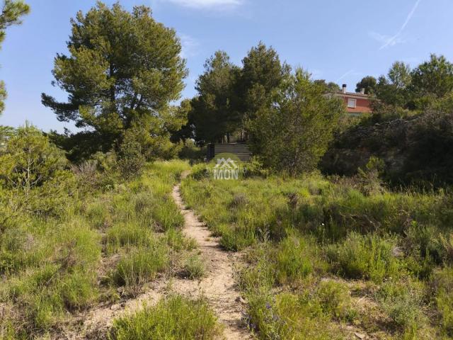 Chalet en venta en Turís. Chalet independiente en les Blasques. Chalets.