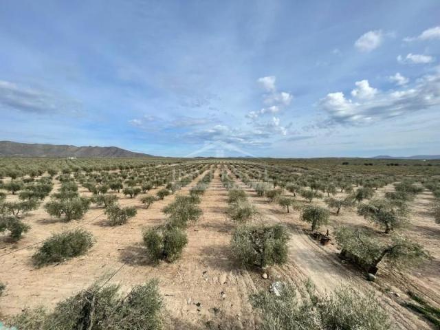 Chalet en venta en Uleila del Campo, Campo