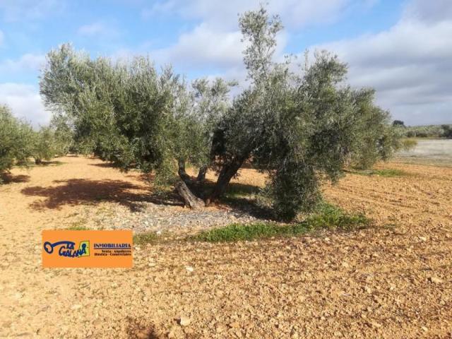 Chalet en venta en Valdepeñas, Carretera de Cozar
