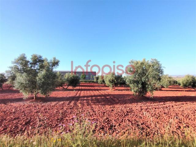 Chalet en venta en Valdepeñas, Carretera Torre Nueva