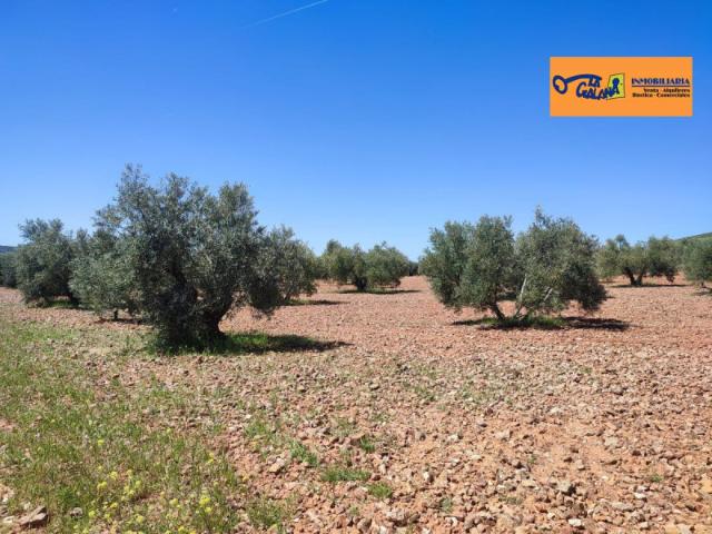 Chalet en venta en Valdepeñas, Carretera Torre Nueva