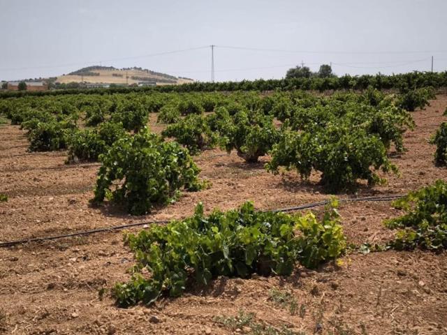 Chalet en venta en Valdepeñas, Valdepenas