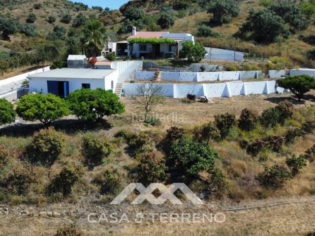 Chalet en venta en Vélez Málaga, Camino Viejo de Málaga. Se vende Finca, Almayate, Málaga, Andalucía. Chalets Vélez.