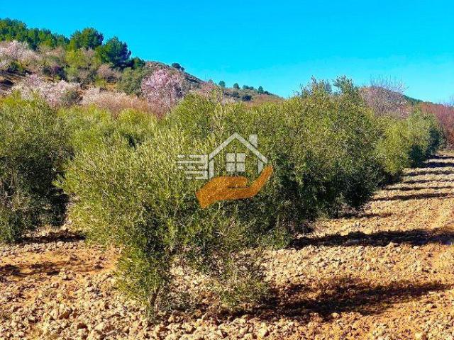 Chalet en venta en Vélez Rubio, Velez Rubio