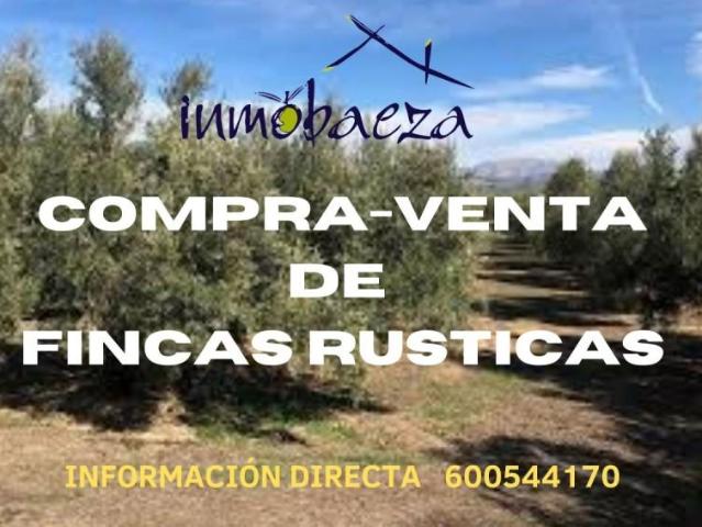 Chalet en venta en Villacarrillo, Villacarrillo