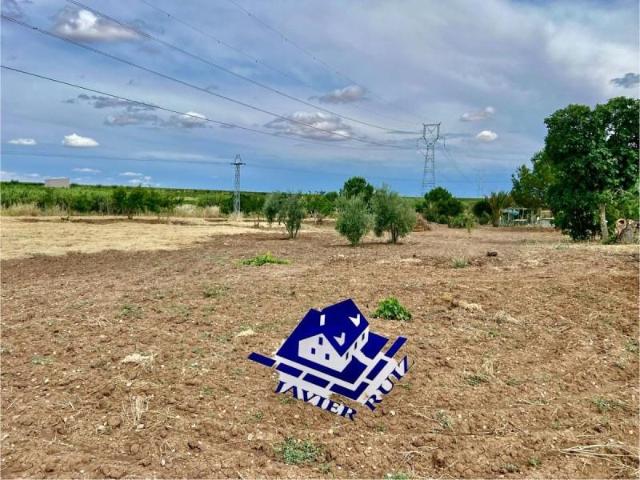 Chalet en venta en Villafranca de los Barros, Villafranca De Los Barros