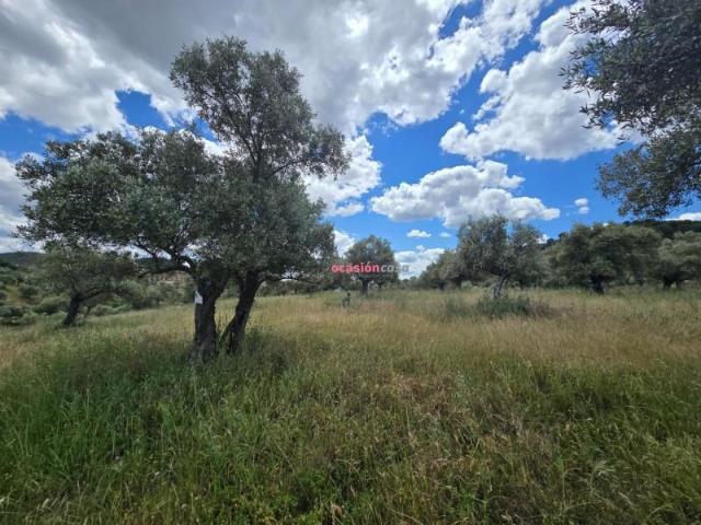 Chalet en venta en Villaharta, Villaharta