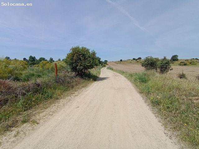 Chalet en Venta en Villanueva de la Cañada, Madrid