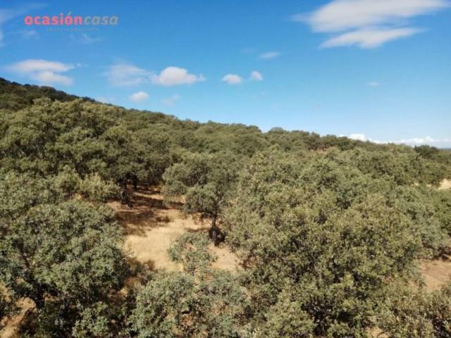 Chalet en venta en Villanueva del Duque, Vva del duque