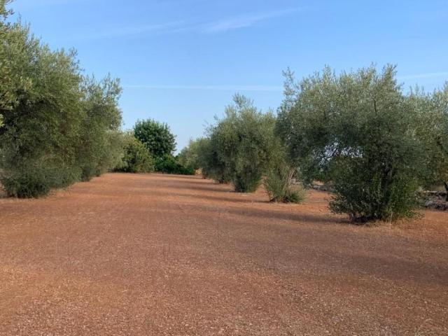 Chalet en venta en Vinaròs, Vinaros