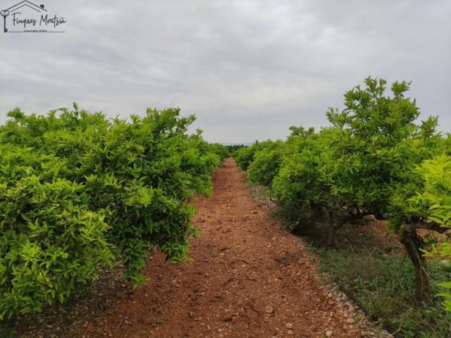 Chalet en venta en Vinaròs, Vistabella Closa de Vinaros