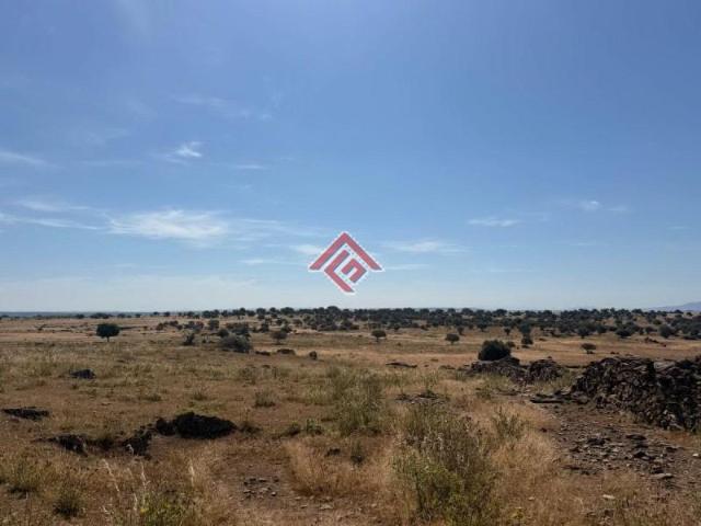Chalet en venta en Zorita, Zorita