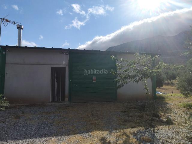 Chalet en venta en Zújar. NAVE CON OLIVOS. Chalets.