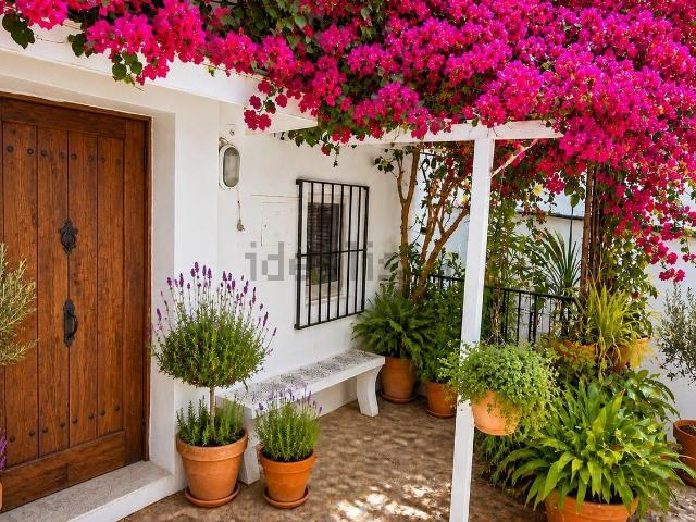 Chalet, Eivissa