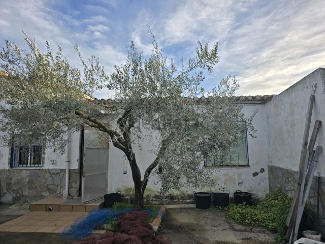 Chalet, El Grau de Castelló