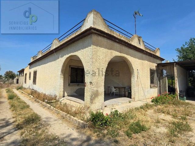 Chalet, Elche / Elx