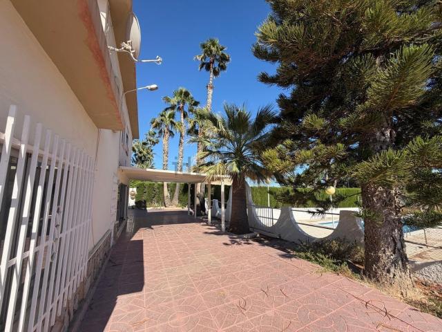 Chalet, Elche / Elx