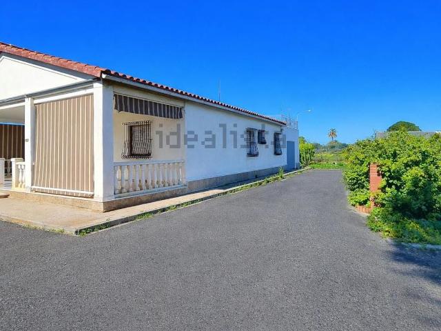 Chalet, Elche / Elx