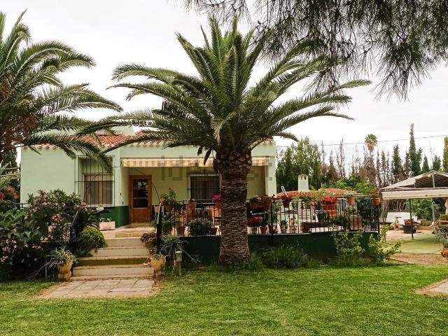 Chalet, Elche / Elx