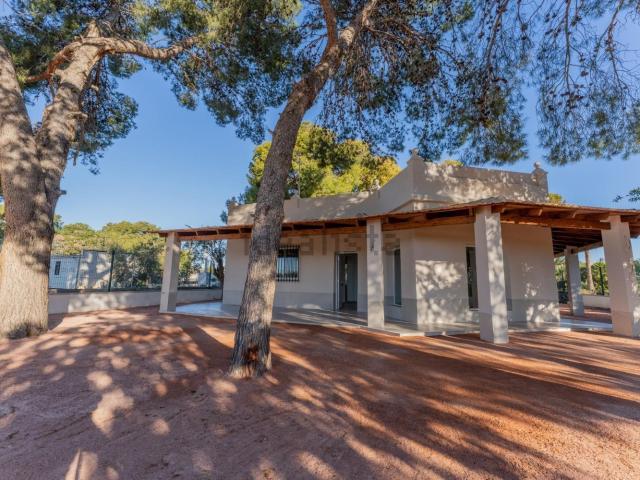 Chalet, Elche / Elx