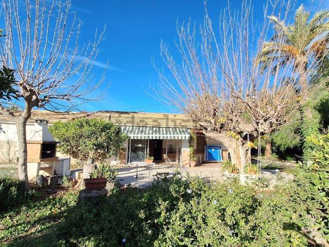 Chalet, Elche / Elx